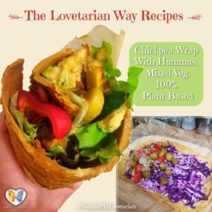 Chickpea Wraps With Hummus, Red Cabbage Slaw and Mixed Veg
